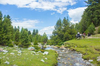 Fairy Meadows