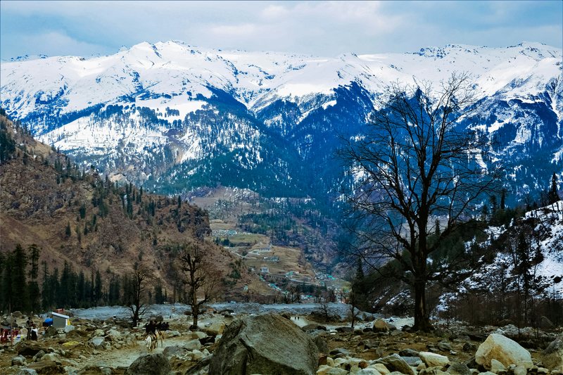 Naltar valley